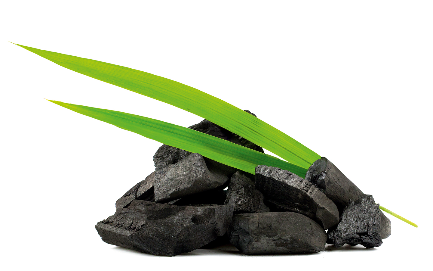 charbon végétal actif